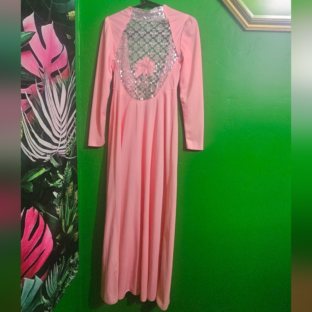 Vintage 70s Pink Sheer Embroidered & Appliquéd Back Maxi Dress Prom Gown S